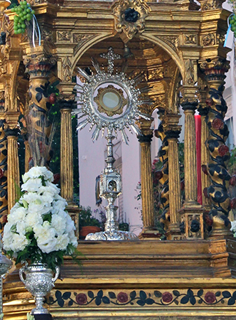 HERMANDAD DE LOS DOLORES DEL CERRO 5